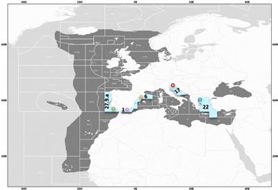 From west to east: Heterogeneity in the life history traits of a small pelagic fish (Sardina pilchardus) throughout the Mediterranean